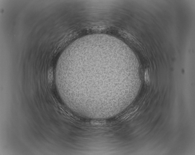 X0000066951299200604211805