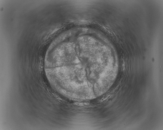 X0000066951301200604211805