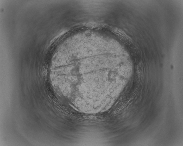 X0000066951302200604211805