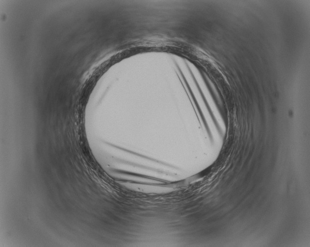 X0000066951304200604211805