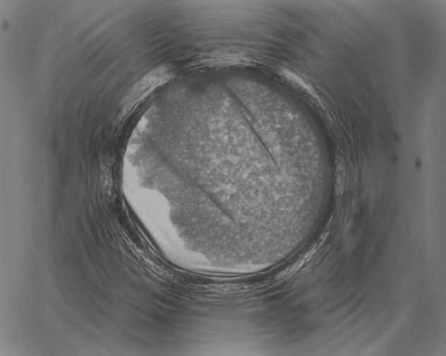 X0000066951305200604211805