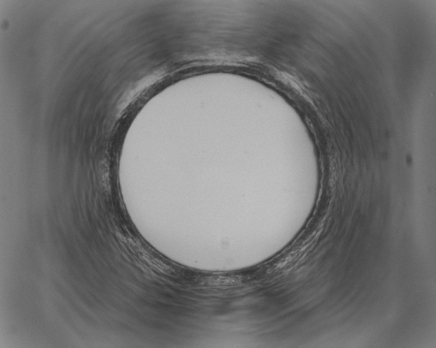 X0000066951307200604211805