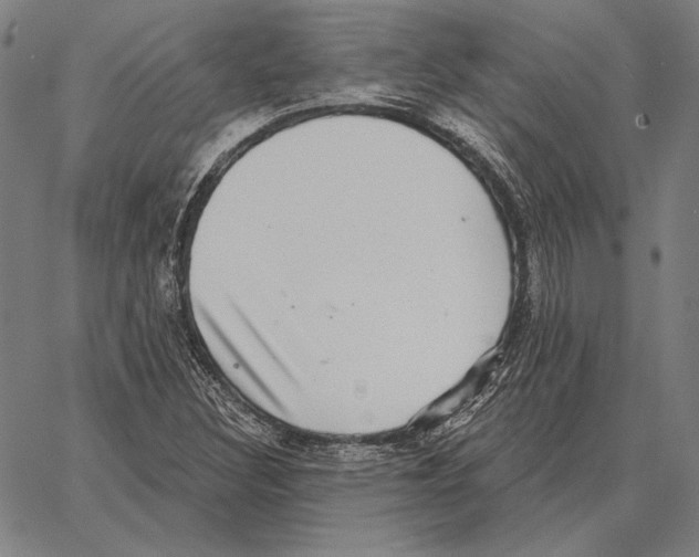 X0000066951308200604211805