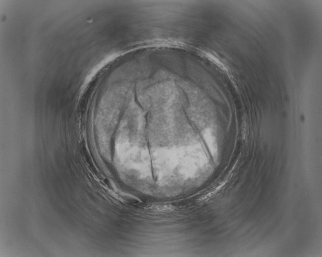 X0000066951310200604211805