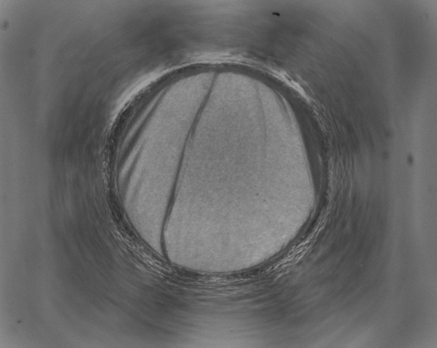 X0000066951311200604211805