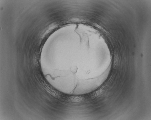 X0000066951314200604211805