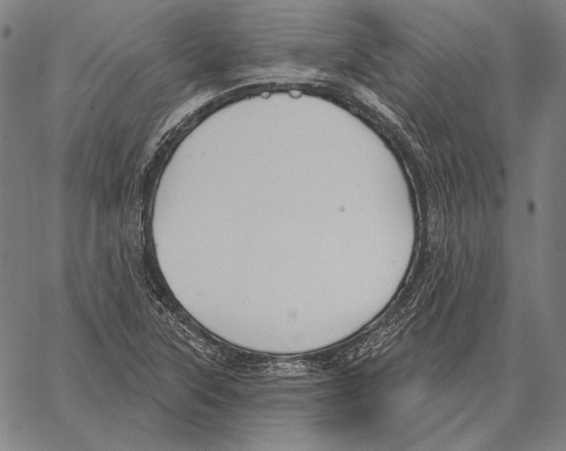 X0000066951315200604211805