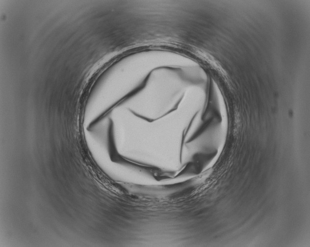 X0000066951316200604211805