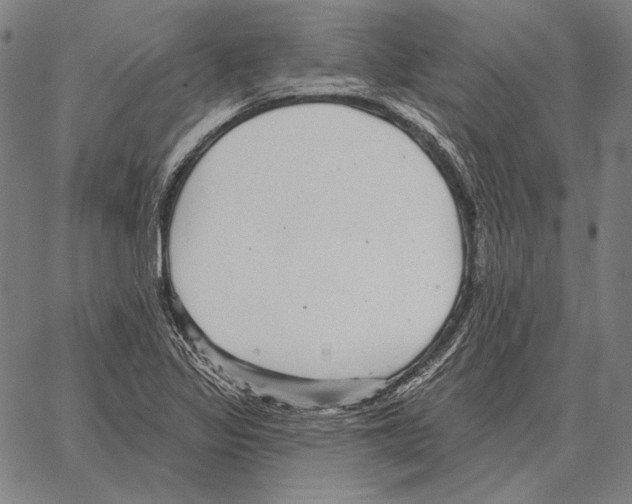 X0000066951317200604211805