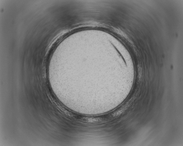 X0000066951318200604211805