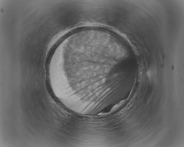 X0000066951319200604211805