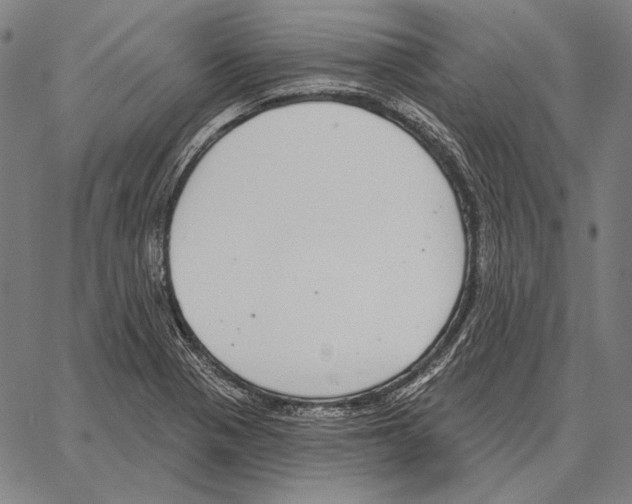 X0000066951321200604211805