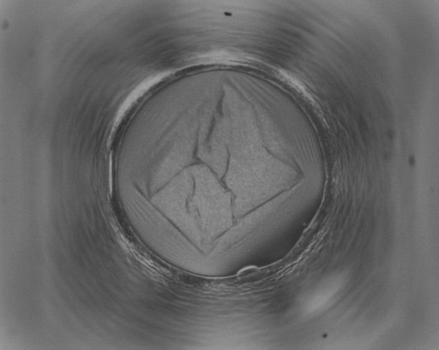 X0000066951323200604211805