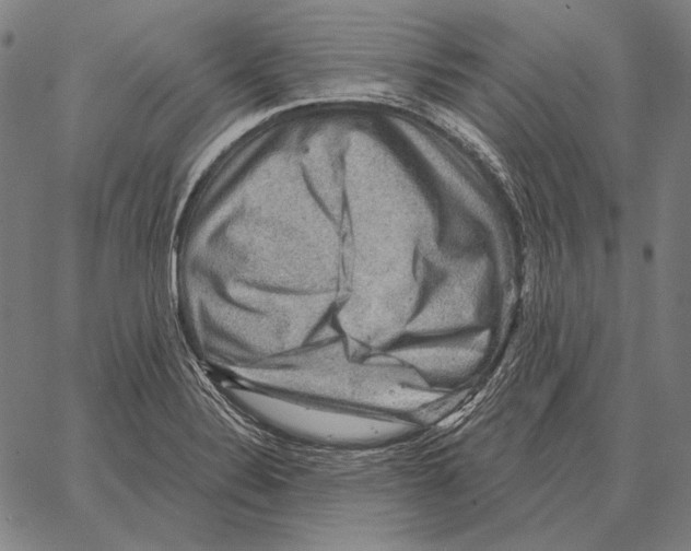 X0000066951324200604211805