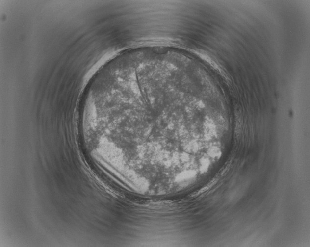 X0000066951325200604211805