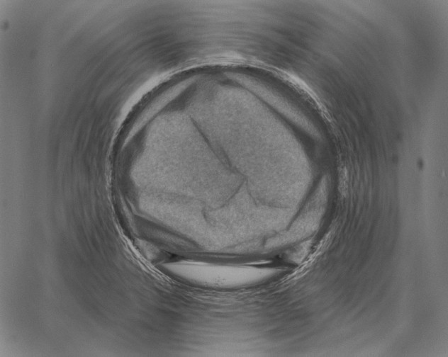 X0000066951326200604211805