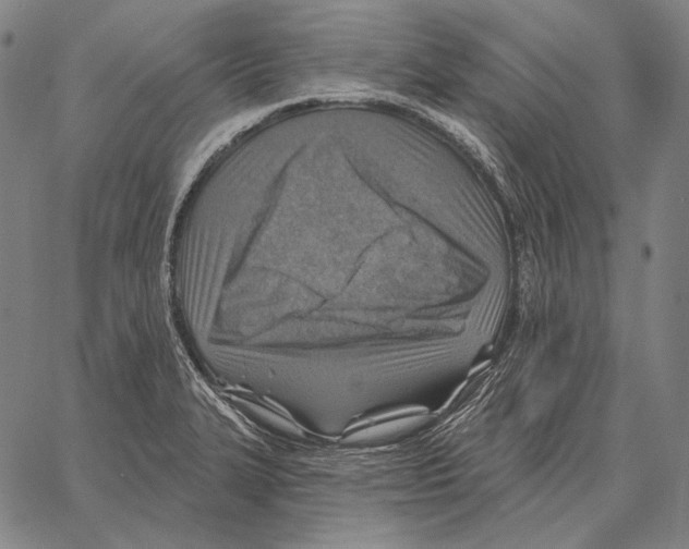 X0000066951327200604211805