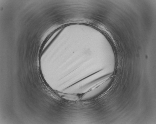 X0000066951328200604211805