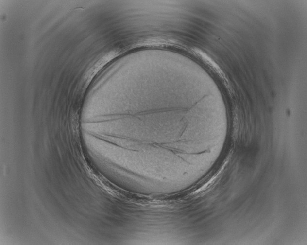 X0000066951329200604211805