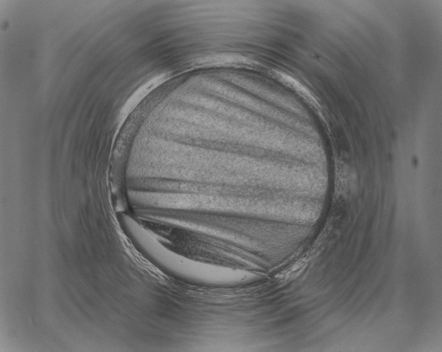 X0000066951330200604211805