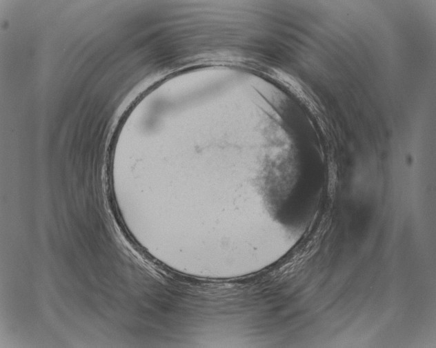 X0000066951331200604211805