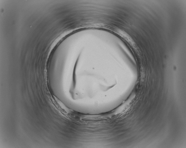 X0000066951332200604211805