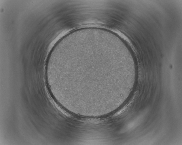 X0000066951333200604211805