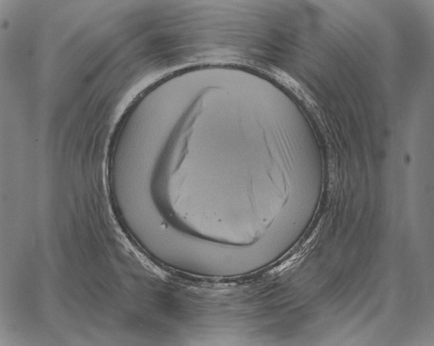 X0000066951334200604211805