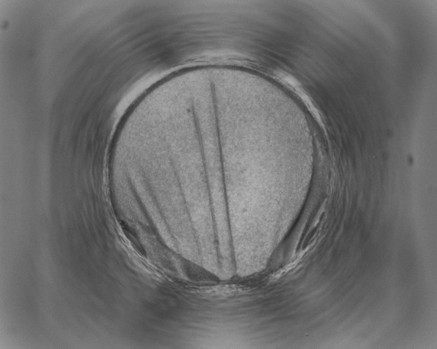 X0000066951336200604211805