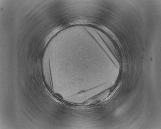 X0000066951337200604211805