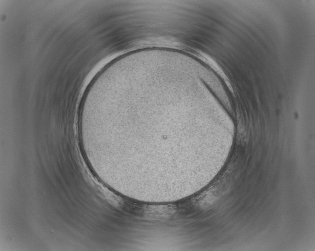 X0000066951339200604211805