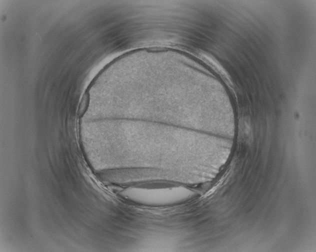 X0000066951340200604211805