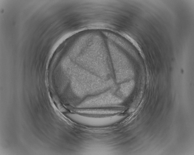 X0000066951342200604211805