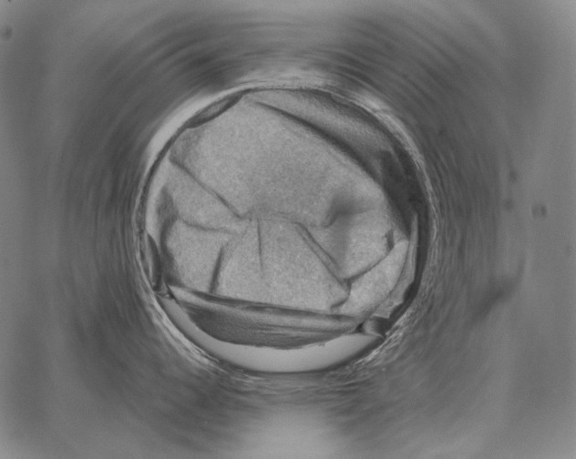 X0000066951344200604211805