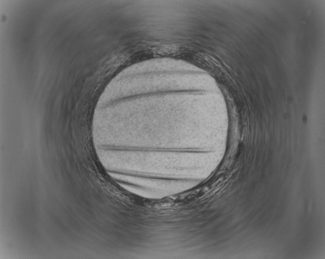 X0000066951345200604211805