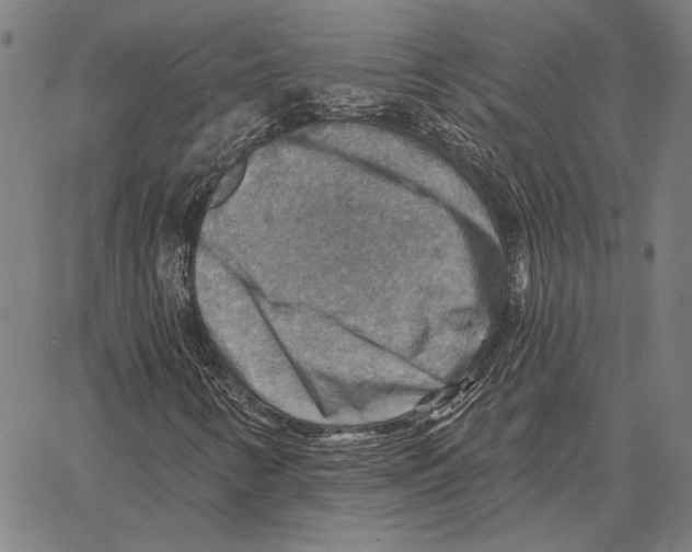 X0000066951346200604211805