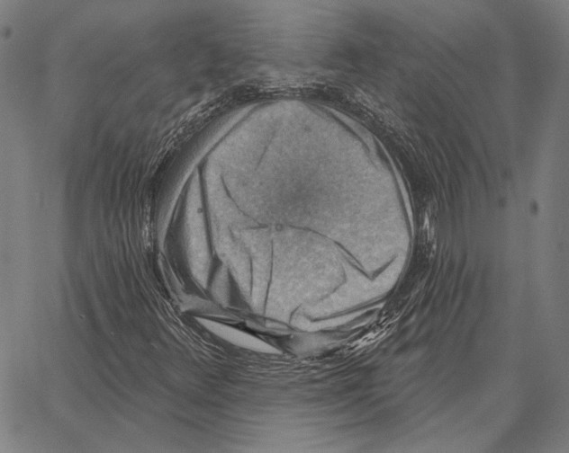 X0000066951348200604211805