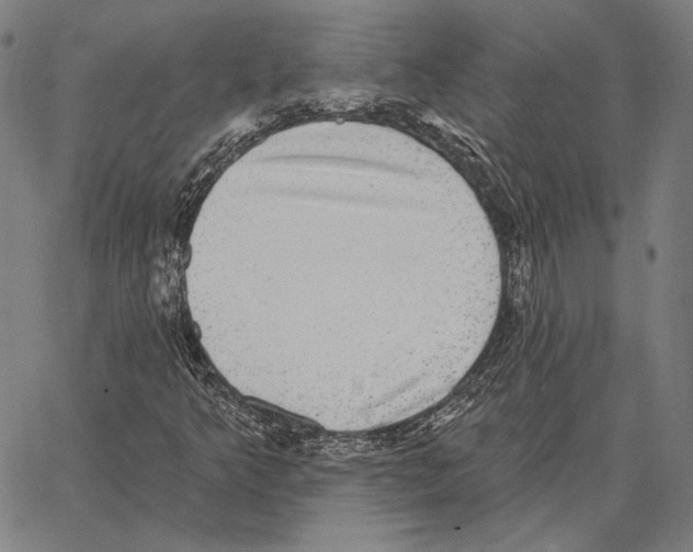 X0000066951349200604211805