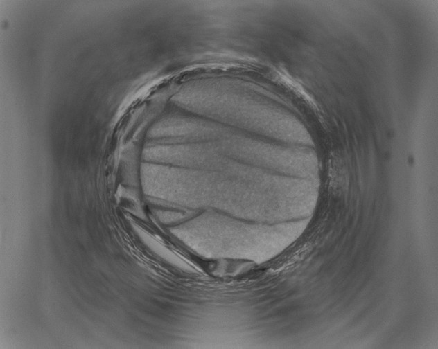 X0000066951352200604211805