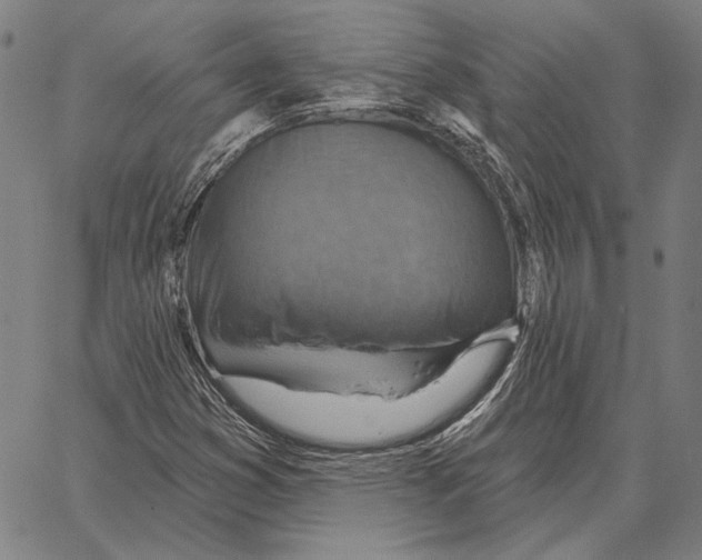 X0000066951353200604211804