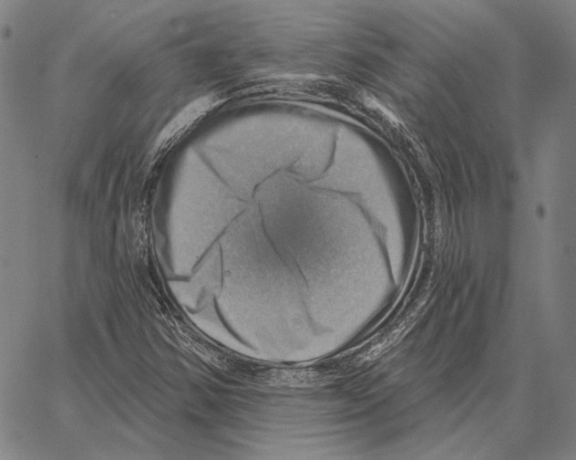 X0000066951354200604211804