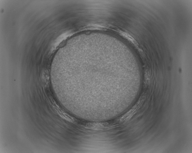 X0000066951355200604211804