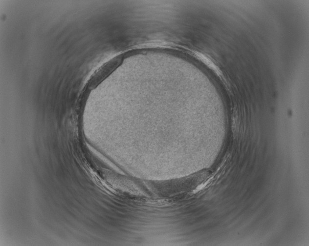 X0000066951356200604211804