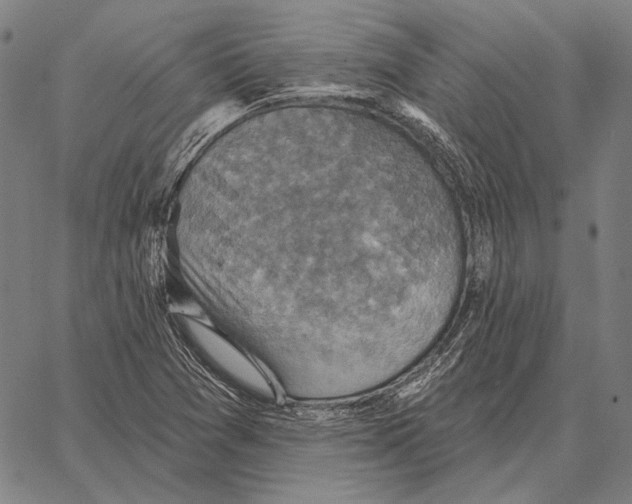 X0000066951361200604211804