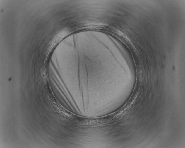 X0000066951362200604211804