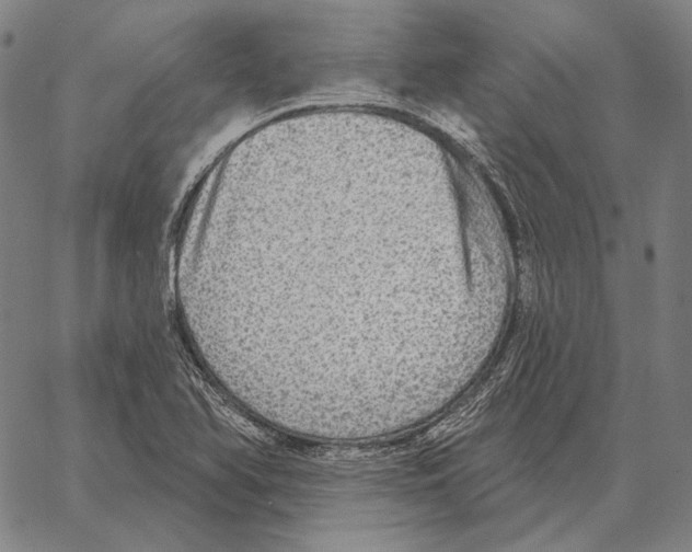 X0000066951366200604211804