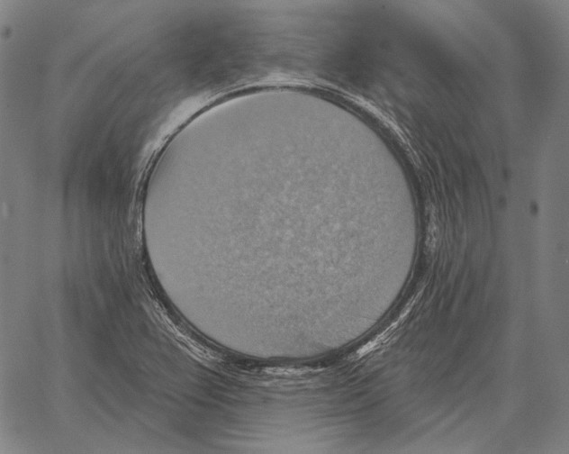 X0000066951367200604211804