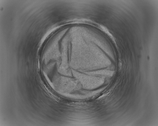 X0000066951368200604211804