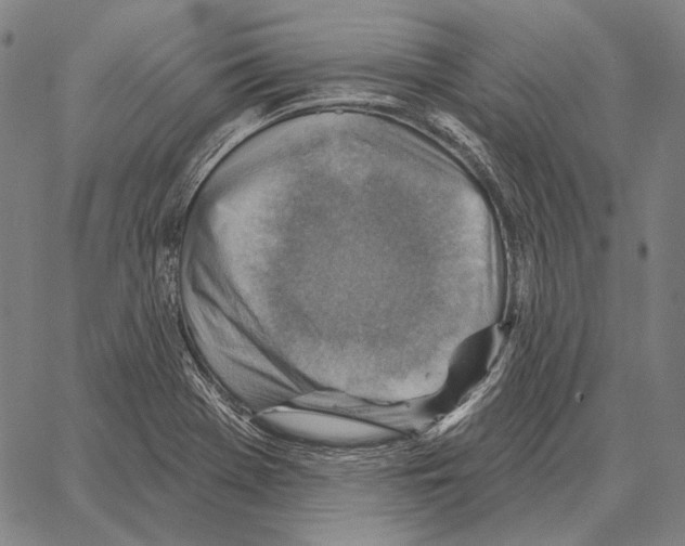 X0000066951369200604211804