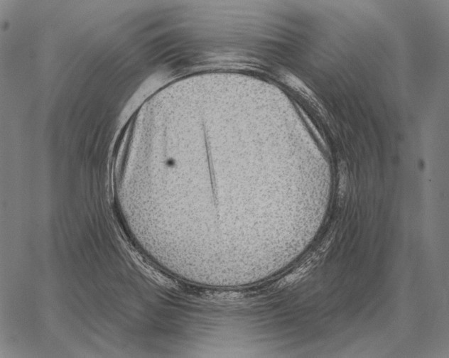 X0000066951370200604211804